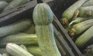 瑞瑞吃瓜视频,揭秘娱乐圈幕后故事