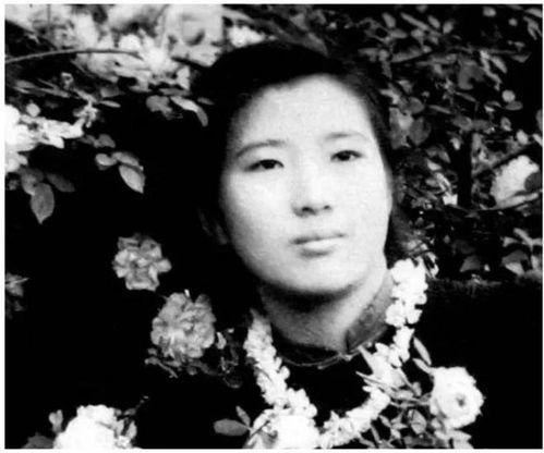 沈明吃瓜,揭秘娱乐圈背后的那些事儿