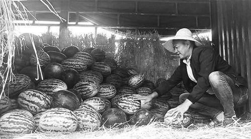 吃瓜群众大营门,一场全民参与的舆论盛宴