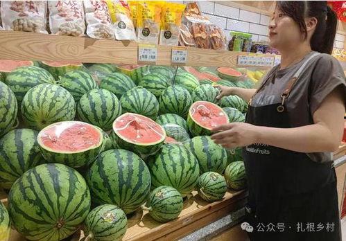 瓜王挑战赛吃瓜,一场舌尖上的狂欢盛宴