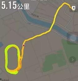 吃瓜群众跑步的视频是谁,揭秘跑步达人健身瞬间