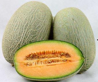 哈密瓜吃,夏日消暑佳品，营养丰富的水果之王