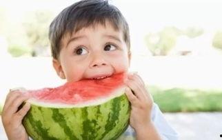 梦见小孩抢瓜吃打架