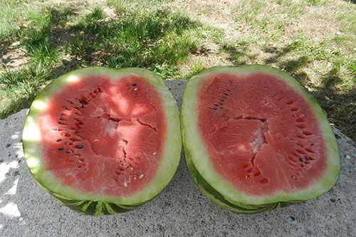 梦见吃瓜稀饭,揭秘吃瓜稀饭的神秘寓意