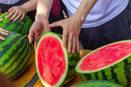 学校的瓜在哪里吃,揭秘瓜在哪里吃的校园美食之旅