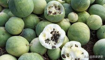 赖瓜子吃瓜,揭秘娱乐圈背后的那些事儿