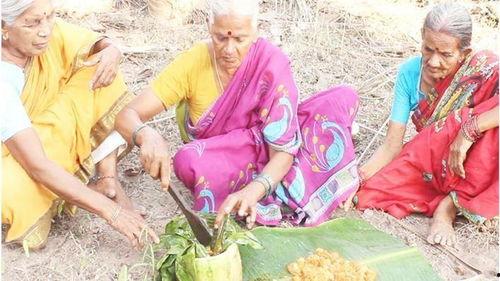 吃瓜长大的老奶奶