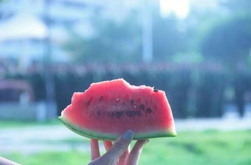 吃瓜世间,揭秘娱乐圈背后的故事与真相