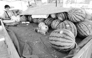 凌晨一点吃瓜,揭秘瓜界风云