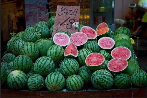 沈阳头条吃瓜,揭秘娱乐圈最新“瓜田”，热点事件一网打尽！