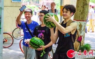 吃瓜小说学校里面