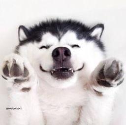 恐怖吃瓜视频大全,恐怖吃瓜视频大全盘点