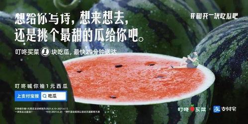 请你吃瓜文案怎么写,跟随“请你吃瓜”文案，解锁夏日清凉新姿势