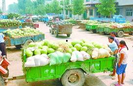 吃瓜网渠道,娱乐圈最新热点事件大汇总