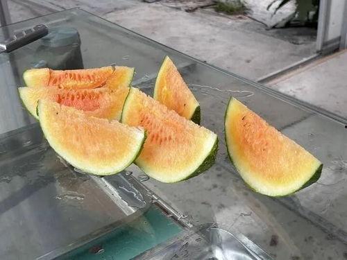 这个夏天吃瓜